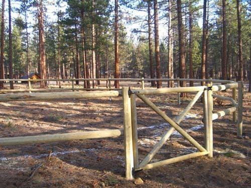 Wood pole fence in wooded area