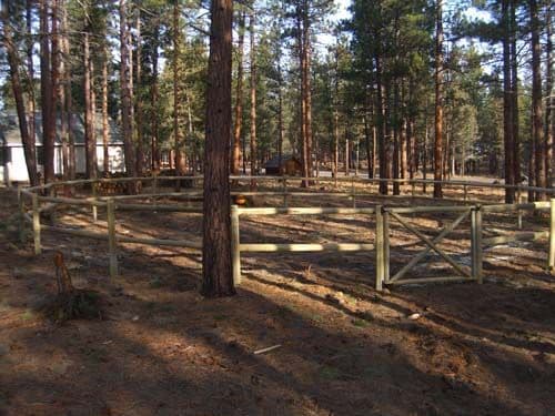 Photo of paddock fence in the trees.